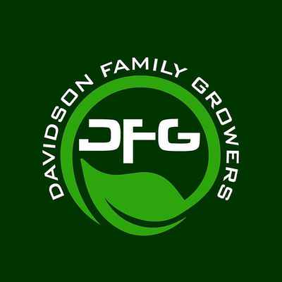 Dfg_logo