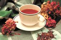 Rose_hip_hibuscus_tea_by_mcguffey_herb___spice_co._low_res_