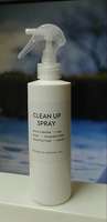 All_purpose_clean_up_spray